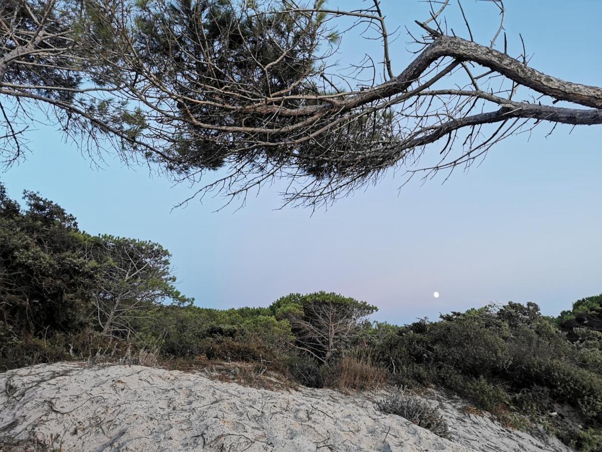 Alghermanzoni Alghero Kültér fotó